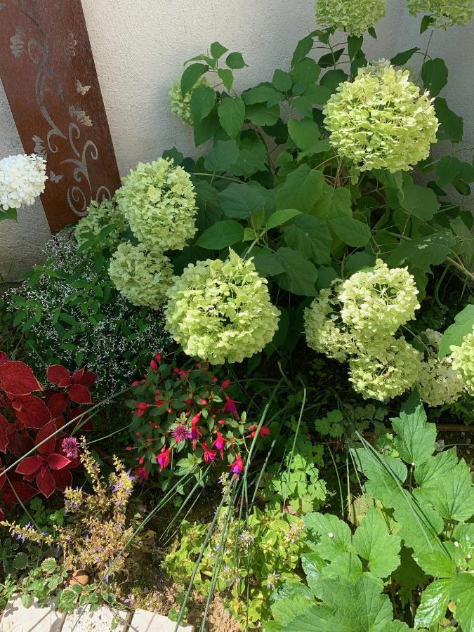 La Glycine B&B Sainte-Colombe  Luaran gambar