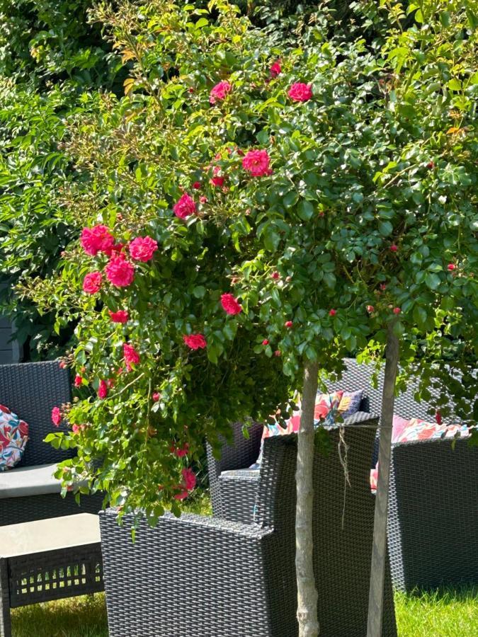 La Glycine B&B Sainte-Colombe  Luaran gambar